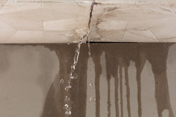 Professional Water Damage Inspection technician working in Bakersfield, CA